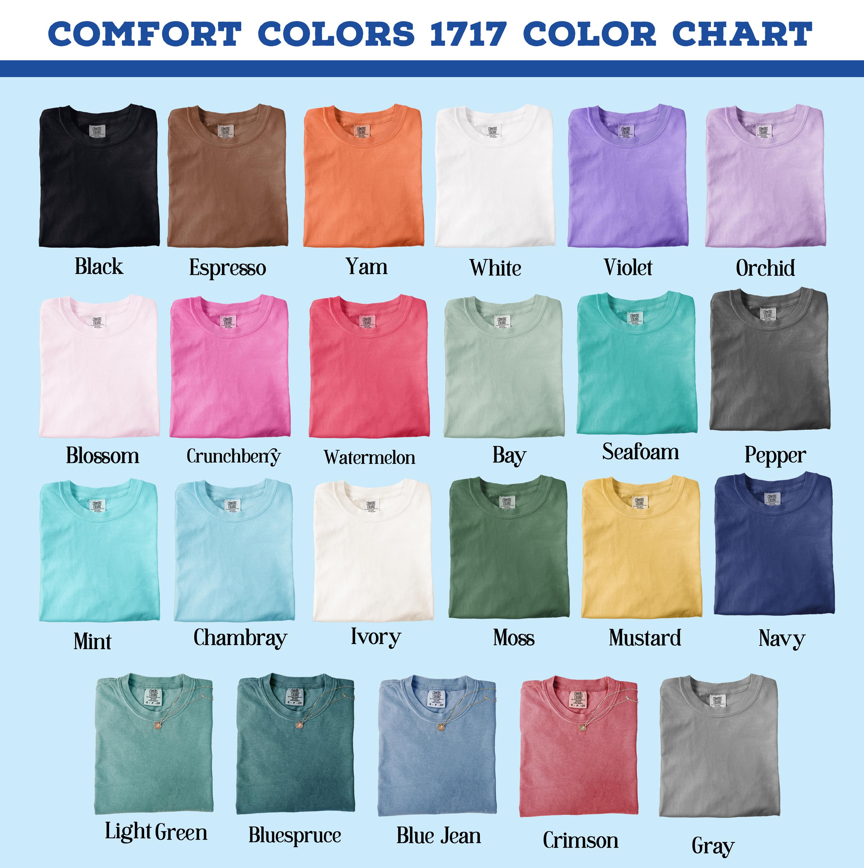 Embroidered Little Chef Remy Baby Tee and Crop Tank Top – Disneyland Trip Disney Comfort Colors Shirt for Park Days - photo 9