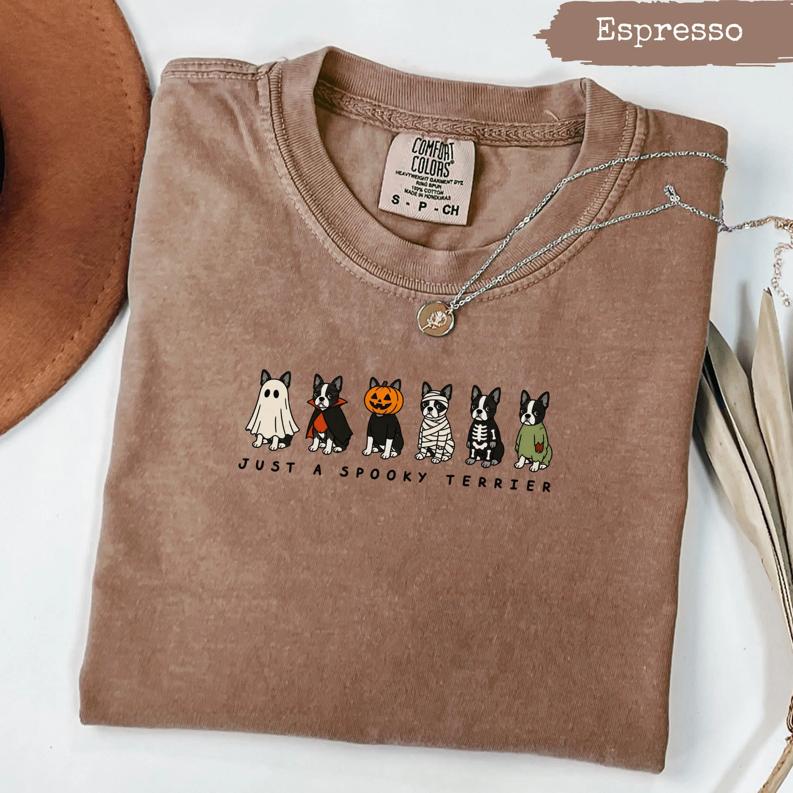 Comfort Colors Spooky Boston Terrier Halloween Costume Shirt, Cute Dog Lover Fall Graphic Tee, Funny Pet Gift