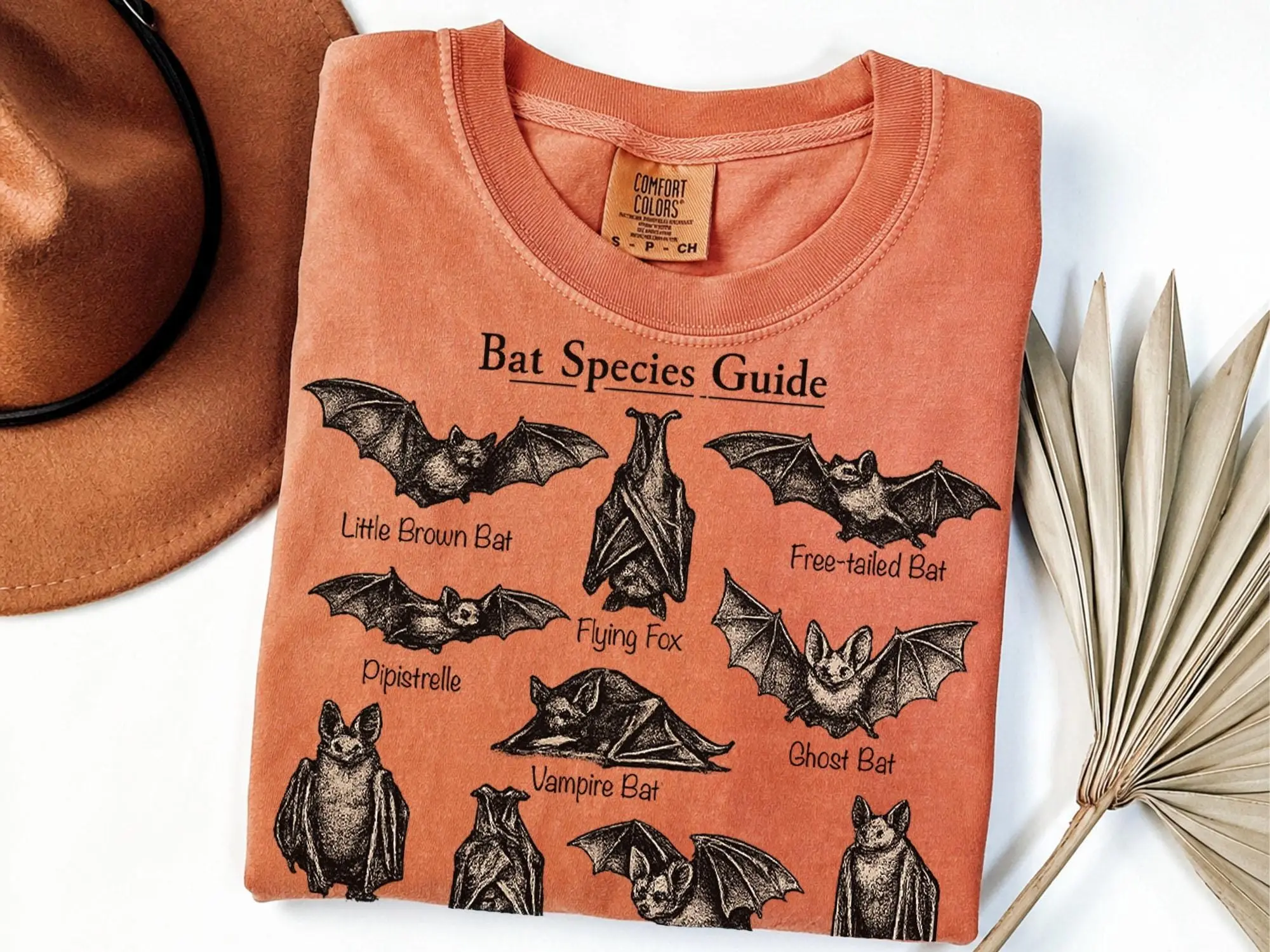 Comfort Colors Vintage Halloween Bat Species Guide T-Shirt, Gothic Cottagecore Dark Academia Animal Lover Top