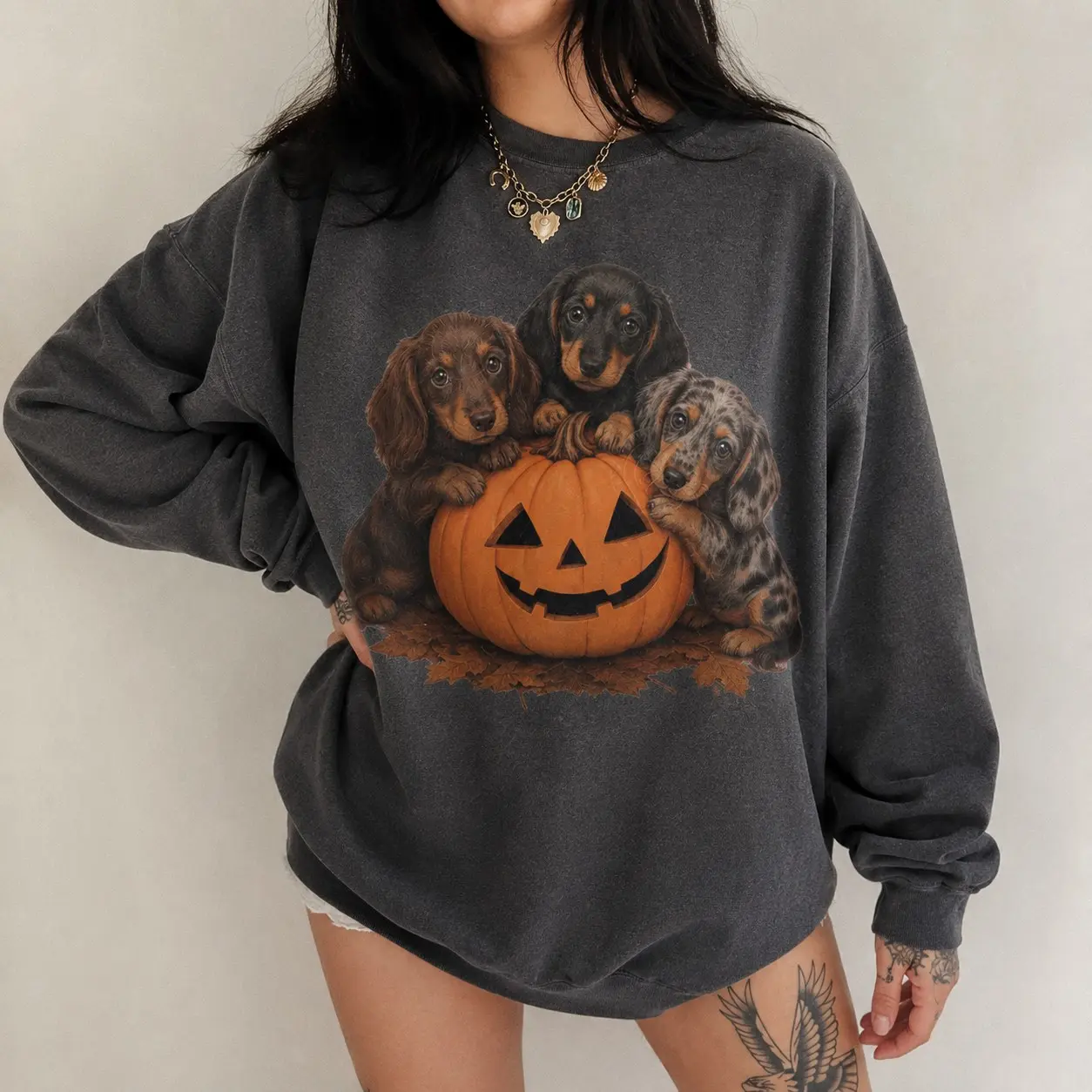 Retro Dachshund Pumpkin Halloween Sweatshirt, Fall Wiener Dog Mom Crewneck, Pet Lover Gift