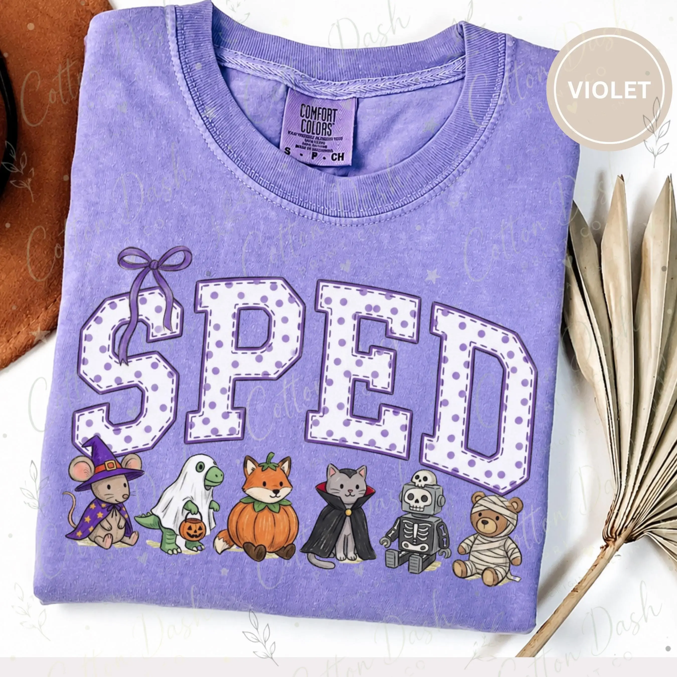 Comfort Colors SPED Halloween Sweatshirt, Special Education Teacher Crewneck, Spooky Season Gift